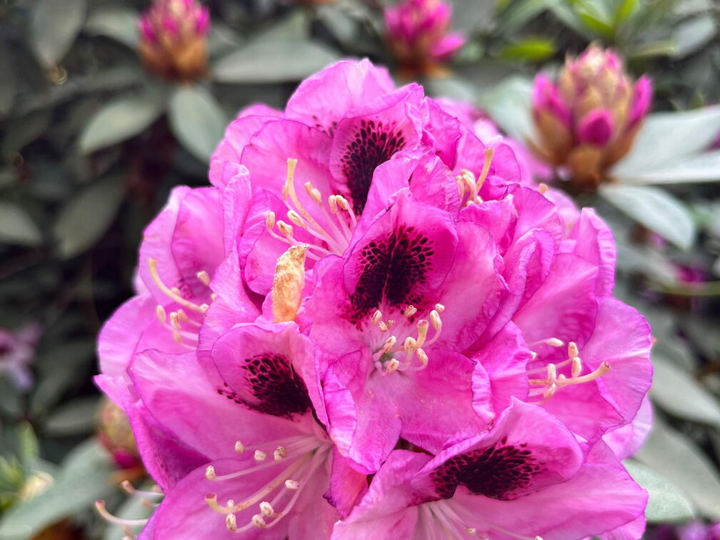 23-06-03 17-18-47 5822